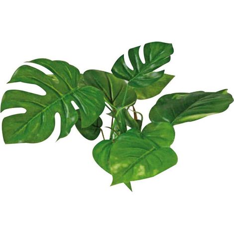 Decorativo acquario lant Replica Aanubias 15cm Wave