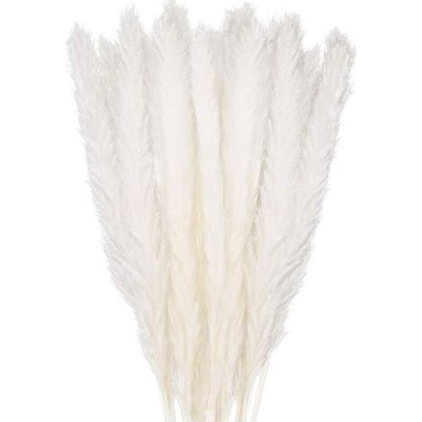 30 pcs Herbe de la Pampa, 58 cm Naturel Pampa Fleur Bouquet de Fleurs Sechees pour Vases, Blanc Boho Decoration Chambre Maison Salon, Mariage Photographier Table Décoration (1/4)