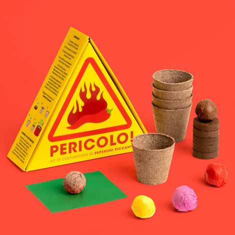 Kit Coltivazione 5 Peperoncini Piccanti 21.5x18.5x6.5cm (1/2)