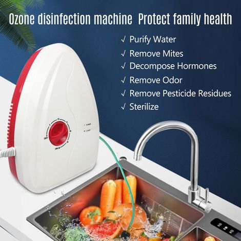 Stérilisateur à l'ozone, purificateur d'air domestique pour fruits et légumes, Machine à laver les aliments, nettoyage (1/5)