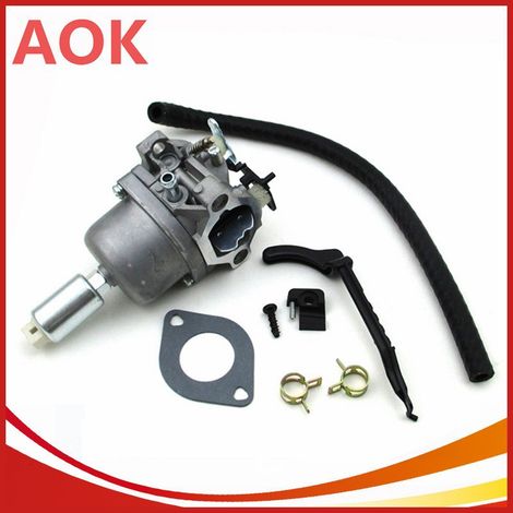 Carburateur Briggs & Stratton 794572 – hohe efficacité (1/3)