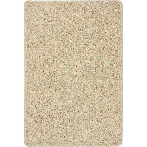 Tapis de salon Style Moderne Tapis de sol - Tapis shaggy antidérapant Crème 140x200 cm BV224739 - BonneVie (1/4)