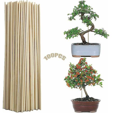100 Pieces Canne De Bambou (3mmx20cm) Jardin De Canne Piquet De Jardin Baton De Bambou Support De Plante De Btons Support Vgtal De Bricolage Btons (1/5)