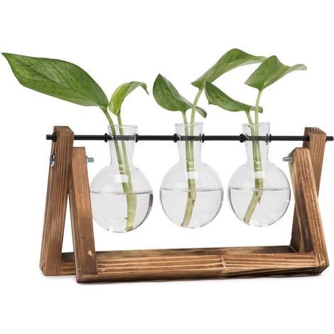 Vases Ampoule en Verre Vase Vintage, Plantes Hydroponiques Pot de Fleurs (1/5)