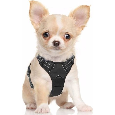 Harnais Chien S Arnais Noir Anti Traction Réfléchissant Gilet Réglable pour Petit Chien, Attache Devant Crochet de Laisse pour Randonnée Trajet Voiture, Jack Russell-Ensoleillé (1/5)