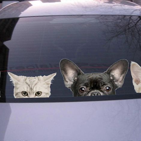 Autocollant mural/de fenêtre amusant en 3D représentant un chat ou un chien dont la moitié du visage apparaît. (1/2)