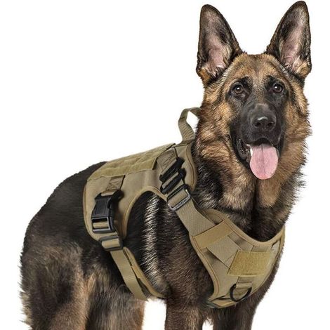 Harnais Tactiques pour Chien M Marron, Gilets à Anneaux pour Chiens de Travail Militaires, Harnais Militaires Chien d’Entraînement sans Tension, avec Pinces à Sangle pour Randonnée et Chasse-L (1/5)