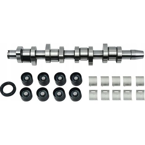 Kit de árbol de levas Borsehung VW Golf 2.0 01- (1/5)