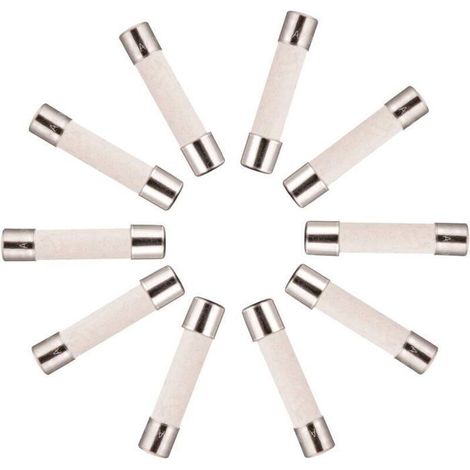 Lot de 10 fusibles temporisés céramiques – Type T, 10 A – Tension 250 V AC (1/4)