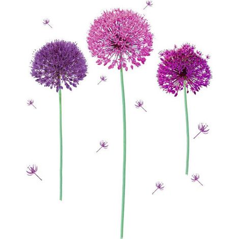 Sticker décoratif allium violet (1/3)