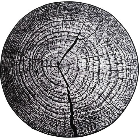 Alfombra moderna NOVO Strado con diseño de tronco de árbol para salón, estampado gris, Gray Trunk, 160x160 cm