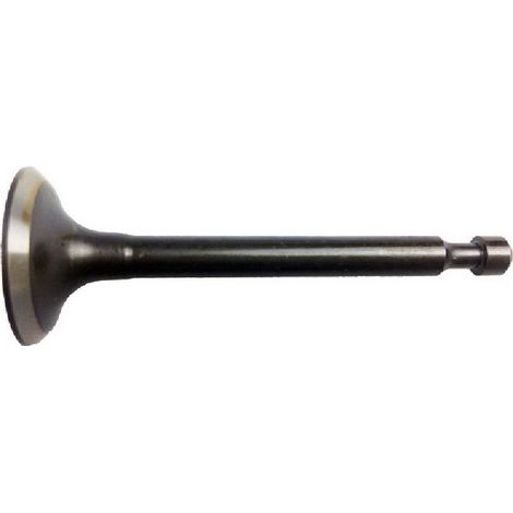 Valvula Admision compatible con Honda gx25  Ref 300566
