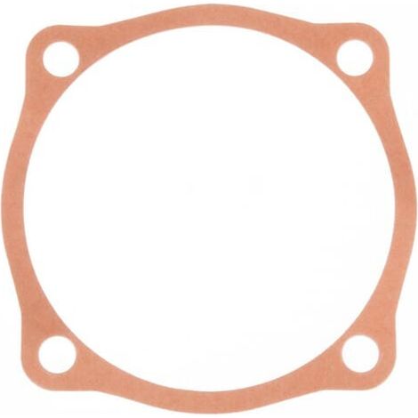 Dichtung 0,3 mm MASCHIO M48000110R