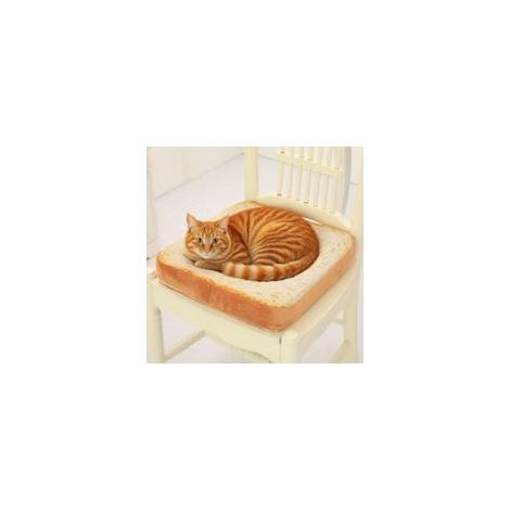 Katzenmatratze – Weiche Polyestermatte mit Plüschfutter, ergonomisches Design, ideal für Wohnungskatzen, strapazierfähig und bequem, komfortables Haustiermöbel – Katzen-/Hundebett – Crezuo