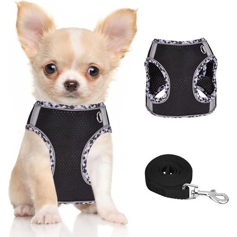 Harnais pour Chiens de Petite Taille et de Taille Moyenne, Harnais et Laisse pour Chiots, Harnais en Maille réfléchissante et Respirante, Gilet Doux et rembourré pour Chiens (1/5)