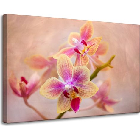 Stampa su tela Botanica Fiore Orchidea 90x60 cm