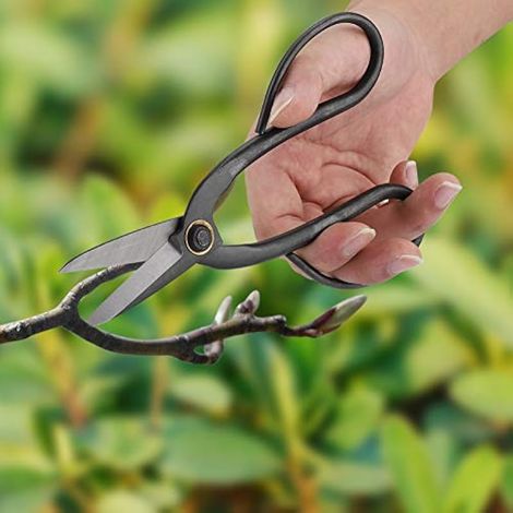 Bonsai Ciseaux - 1 PC de 200mm robuste Ciseaux Bonsai en acier, Tailler cisaillement Racines Branches dénudeur, Cutter jardin. (1/3)