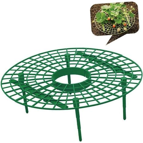 pi ces Support Plantes Grimpantes pour Fraises Vert Cadre