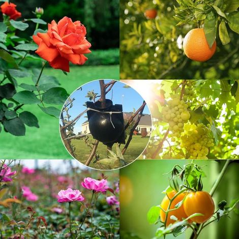 Lot de 15 boîtes à racines de plantes, appareil d'enracinement réutilisable, balle de multiplication haute pression pour arbres, fleurs, jardin, sol, boîte de greffage, noir (1/2)