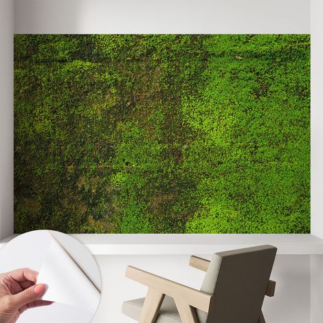 Papier peint adhésif décoratif pour salon chambre et cuisine Facile à poser avec colle Tapis vert 104x70 cm (1/5)