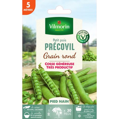 Pois Nain à Grain Rond Précovil - 5 m Vilmorin (1/2)