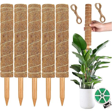 Support pour Plantes Grimpantes de 30 cm en Tiges de Mousse Naturelle – Idéal pour Monstera, Philodendron et Autres Lianes (1/4)