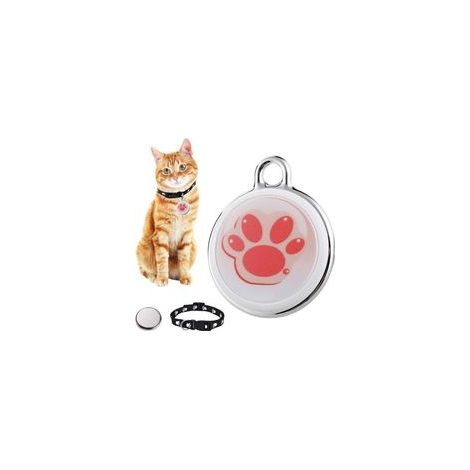 Traceur GPS pour chats et chiens - Suivi de localisation en temps réel, collier étanche, sans abonnement. (1/5)