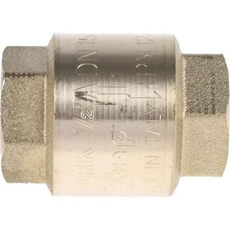 Clapet antiretour en Laiton RS PRO 1/2 in BSPP ( Prix pour 1 ) (1/3)