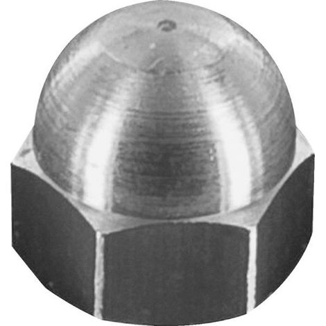 écrou Borgne M10 Acier Zingué Protection Et Finition Esthétique Pour Vos Assemblages - Trust
