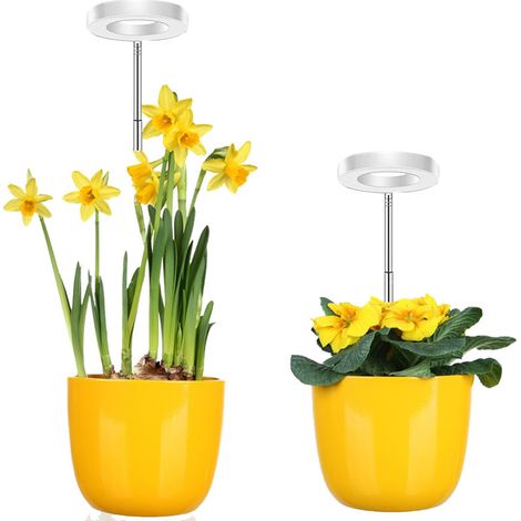 LED Wachstumslampe mit Vollspektrum für Zimmerpflanzen – Zweikopf höhenverstellbar, Lichtring „Engel“-Typ, USB-Stromversorgung, rotes/blaues/weißes Licht, sauberes weißes Design