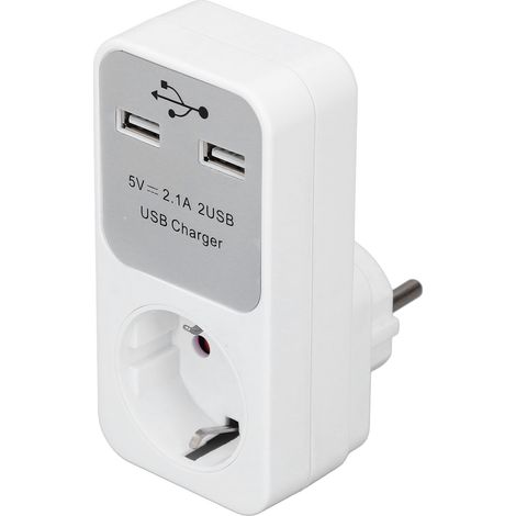 Adaptateur de sortie Convertisseur électrique de sortie 16A 3680W avec 2 ports USB