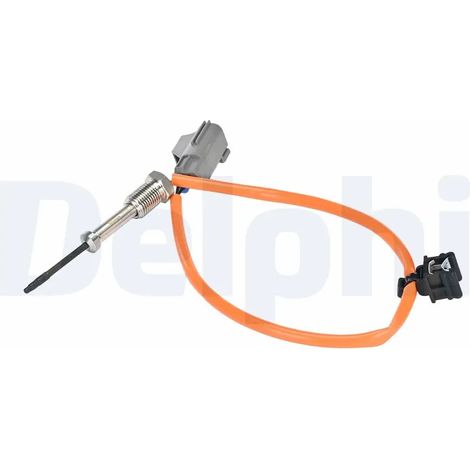 Capteur, température des gaz Delphi Technologies TS30381-12B1 FORD 2036674