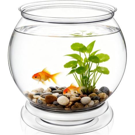 1 Bocal à poisson en plastique transparent pour poissons rouges, tortues, décoration intérieure (1/5)