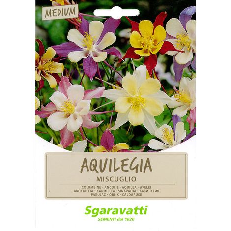 SEMI PER PRATO UNIVERSALE aquilegia miscuglio Q.TA 20 aquilegia miscuglio