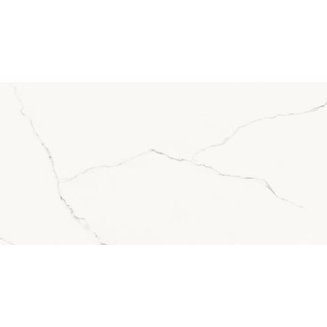 Carrelage Aspect marbre Ice Blanc  60x120 cm (1/5)