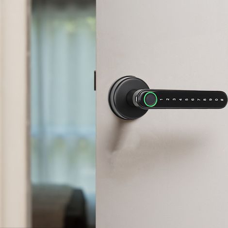 Tuya Smart Lock mit App-Steuerung – verzinkt, rutschfest, 963 g, 4 AAA-Batterien – einfache 10-Minuten-Installation für Zuhause/Hotel (1/5)