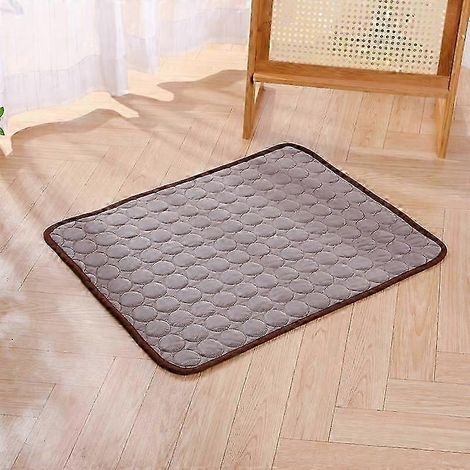 Tapis rafraîchissant pour chien, lit froid d'été extra large pour petits et grands chiens, accessoires pour animaux de compagnie, couverture résistante pour chat, canapé, coussin rafraîchissant pour c (1/5)