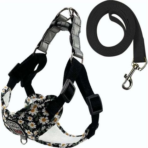 Fournitures pour animaux de compagnie Laisse respirante pour chien Laisse imprimée pour chien de promenade pour chien de petite et moyenne taille Nouveau harnais pour animaux de compagnie en gros (1/3)