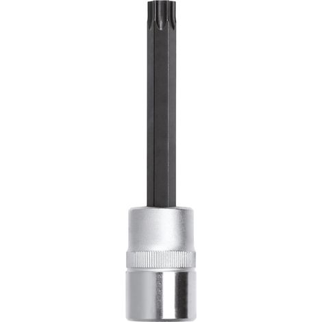 R62452319 Inserto per cacciavite 1/2" TX T60 Lunghezza 100 mm (1/4)