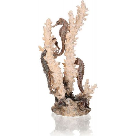 OASE 55039 biOrb Seepferdchen natur M