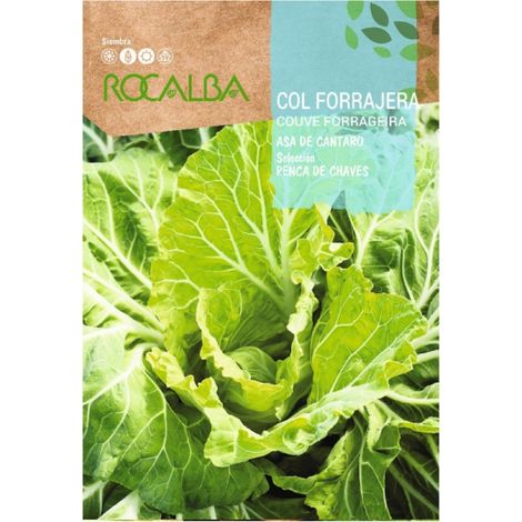 Rokalba Lechuga Valladolid 6G