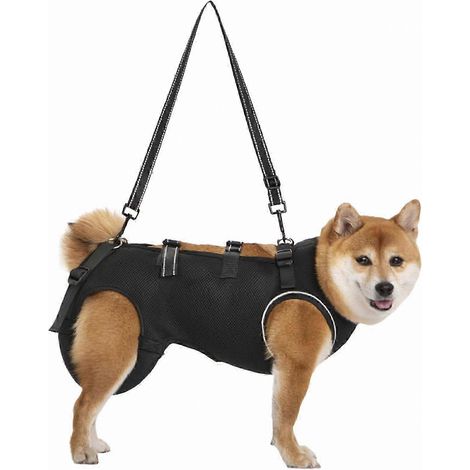 Harnais de soutien pour chien âgé, idéal pour la rééducation douce et l'aide à la mobilité (noir, taille S). (1/5)