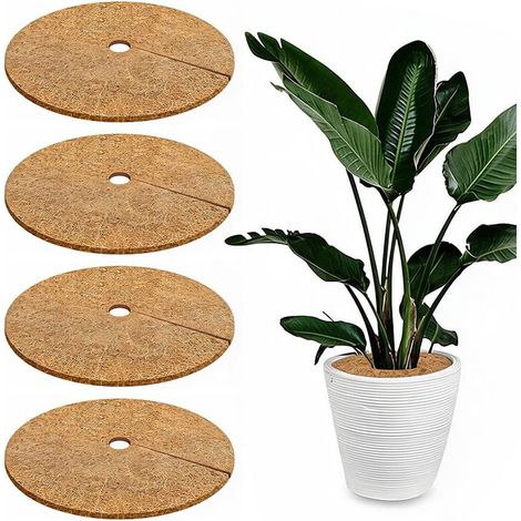 30 CM Lot de 4 disques de Protection Hivernal en fibre de coco de ronds (1/5)