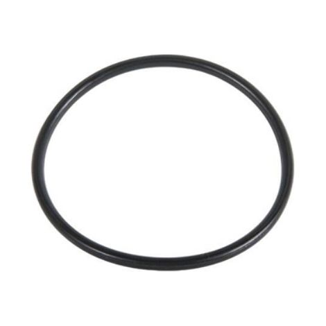 O.RING PER FILTRO 244-HYMFI 31.47 x 1.78 - Tipo C IRRITEC