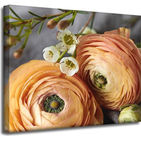 Leinwanddruck Botanik Blumen 50x40 cm