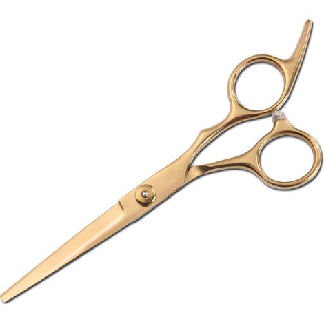 Ciseaux de coiffure professionnels 6" - Ciseaux pour hommes et femmes (1/5)