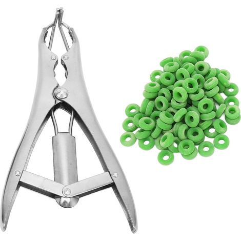1 Pince de castration,Acier inoxydable,Crochets de préhension,Bague en caoutchouc,Pour volaille et bétail (1/5)