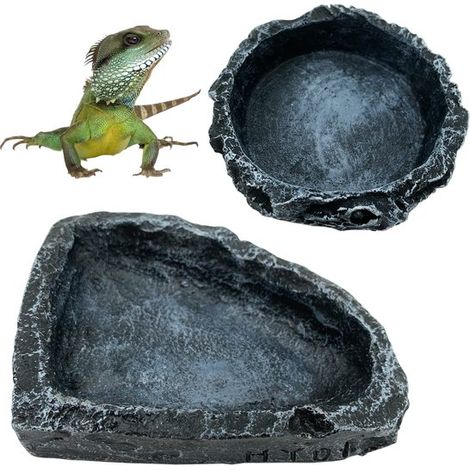 2 comederos para reptiles, comederos de esquina, adecuados para iguanas rojas, ranas, lagartos, tortugas y cangrejos ermitaños (1/5)