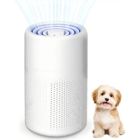 BLADEN Luftreiniger, tragbares USB-Modell, HEPA-Filter, Aktivkohle, Geruchsneutralisierung, Tierhaarentfernung, für Zuhause, Auto, Büro, 20 m² (1/5)