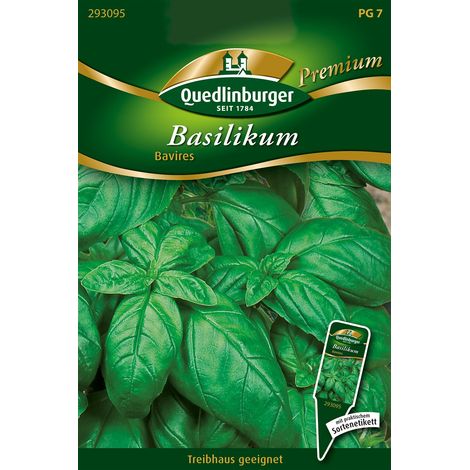 Quedlinburger Saatgut – Basilic « Bavires » – Graines d'herbes aromatiques, feuilles vert foncé brillantes et bombées (1/2)